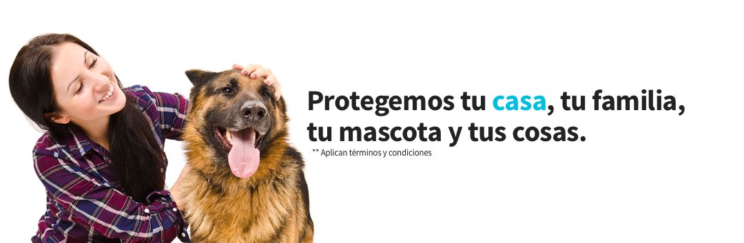 protege tu casa, tu familia, tu mascota y tus cosas