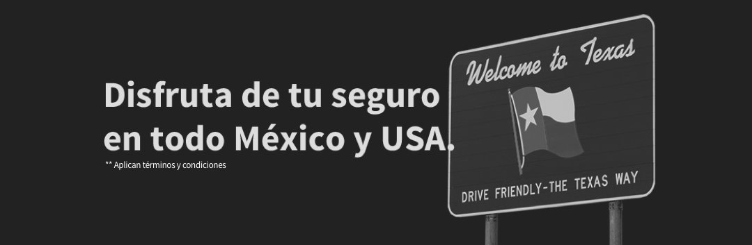 seguro de auto en mexico y estados unidos